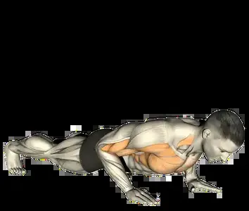 Starting position for the Clap Push-Up