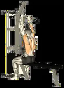 Starting position for the Close-Grip Cable Lat Pulldown