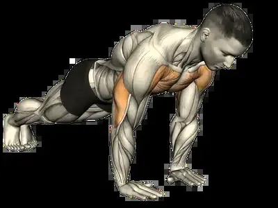 Starting position for the Close-Grip Push-Up