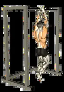 Starting position for the Commando Pull-Up