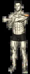 Starting position for the Cross-Body Shoulder Stretch