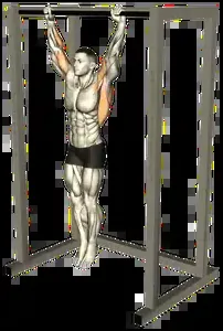 Starting position for the Dead Hang