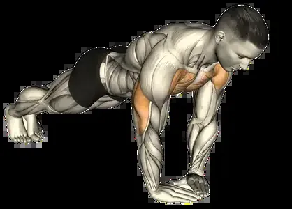 Starting position for the Diamond Push-Up