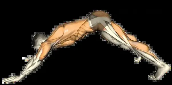 Starting position for the Dive Bomber Push-Up