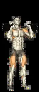 Starting position for the Double Kettlebell Press