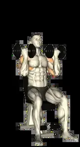 Starting position for the Dumbbell Arnold Press