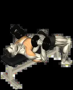 Starting position for the Dumbbell Bench Press