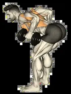 Starting position for the Dumbbell Bent-Over Row