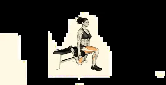 Starting position for the Dumbbell Bulgarian Split Squat