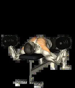 Starting position for the Dumbbell Chest Fly