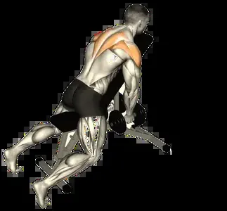 Starting position for the Dumbbell Chest-Supported Row