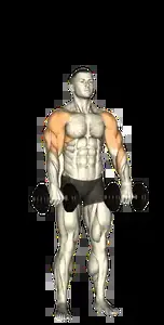 Starting position for the Dumbbell Cuban Press