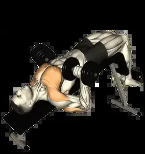 Starting position for the Dumbbell Decline Bench Press
