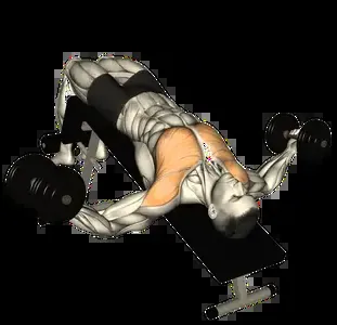 Starting position for the Dumbbell Decline Chest Fly