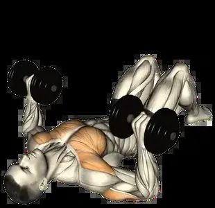 Starting position for the Dumbbell Floor Press