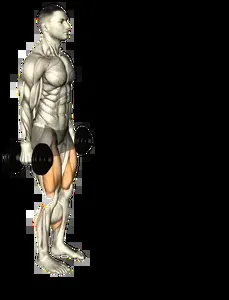 Starting position for the Dumbbell Forward Lunge