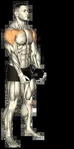 Starting position for the Dumbbell Front Raise