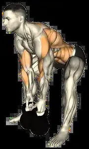 Starting position for the Dumbbell Gorilla Row