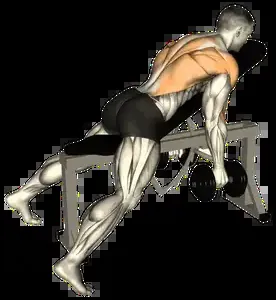 Starting position for the Dumbbell Incline Bench Row