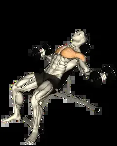 Starting position for the Dumbbell Incline Chest Fly