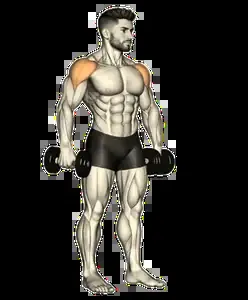 Starting position for the Dumbbell Lateral Raise