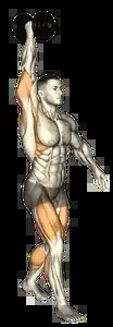 Starting position for the Dumbbell Overhead Carry