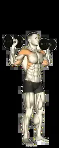 Starting position for the Dumbbell Overhead Press