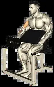 Starting position for the Dumbbell Preacher Curl