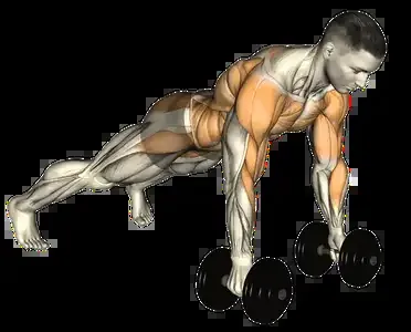 Starting position for the Dumbbell Renegade Row