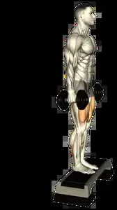 Starting position for the Dumbbell Reverse Lunge