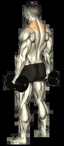 Starting position for the Dumbbell Shrug
