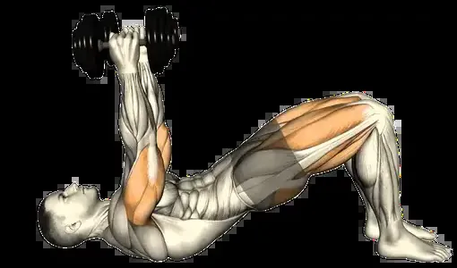 Starting position for the Dumbbell Skull Crusher