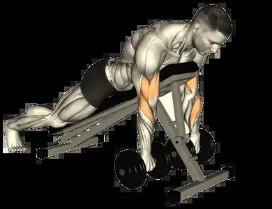 Starting position for the Dumbbell Spider Curl