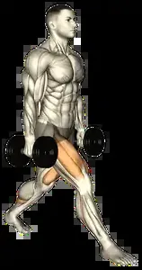Starting position for the Dumbbell Split Squat