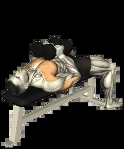 Starting position for the Dumbbell Squeeze Press