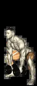Starting position for the Dumbbell Sumo Deadlift