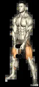 Starting position for the Dumbbell Sumo Squat