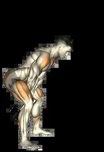 Starting position for the Dumbbell Swing