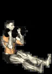 Starting position for the Dumbbell Z Press