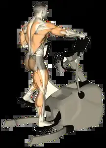 Starting position for the Elliptical