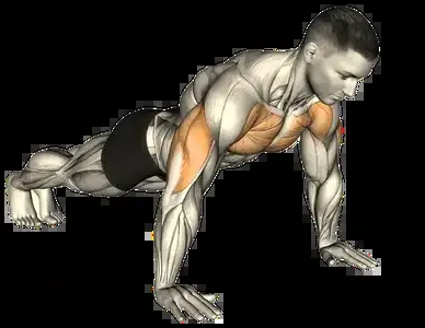 Starting position for the Explosive Push-Up