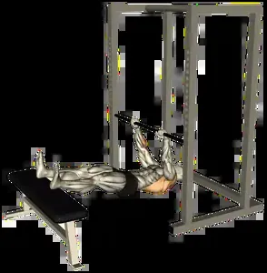 Starting position for the Feet-Elevated Inverted Row