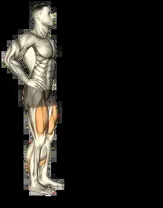 Starting position for the Forward Lunge