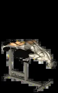 Starting position for the Glute Ham Developer Raise