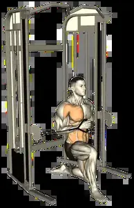 Starting position for the Half-Kneeling Pallof Press