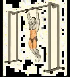 Starting position for the Hanging Knee Raise