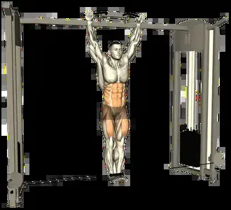 Starting position for the Hanging Leg Raise