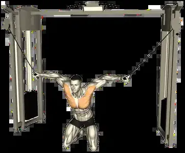 Starting position for the High-to-Low Cable Fly