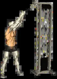 Starting position for the High-to-Low Cable Wood Chop