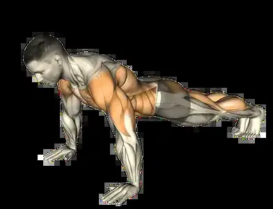 Starting position for the Hindu Push-Up